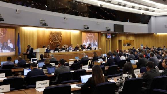 IMO Council Steps Up Action On Transparency