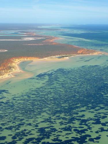 Aerial photograph of Peron Peninsula, Shark Bay. Photo by Angela Rossen, Artist in residence, UWA School of Biological Science