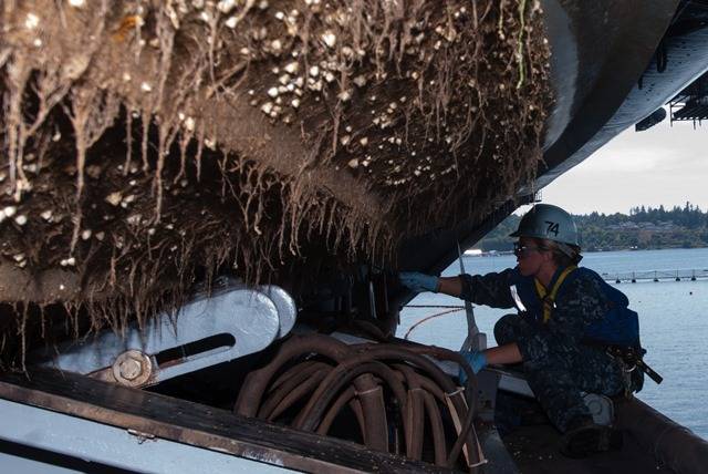 (Biofouling photo - U.S. Navy photo by Mass Communication Specialist Seaman Apprentice Christopher Frost/Released [A sailor scraping barnacles from the bottom of a rigid-hull inflatable boat aboard an aircraft carrier.])
