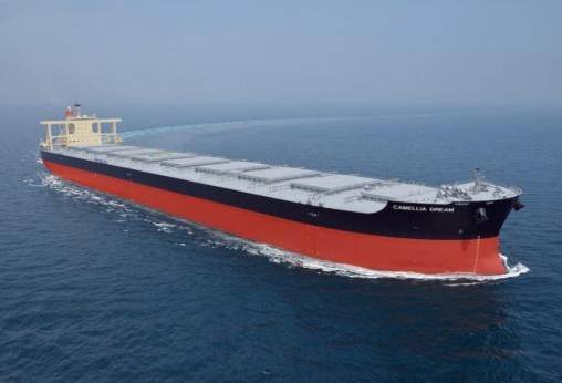 Bulk carrier of the type featuring the NSafe-Hull