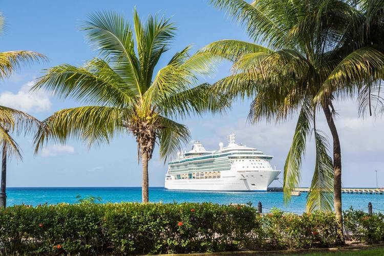 Cruise ships are becoming increasingly high-tech as cruise lines look to improve the onboard experience (©Darryl Brooks / Adobe Stock)