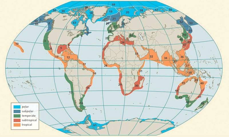 Figure 1. The near­coastal areas of the world’s oceans have been classed into 66 large, transnational marine ecosystems, known as the large marine ecosystems (LMEs). Taken from World Ocean Review Living with the Oceans. 5 Coasts – 2017. Image: The Author