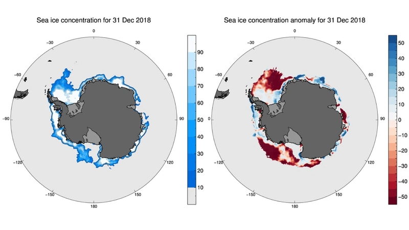 Figure 4: Concentration and anomaly maps for December 31, 2018. Credit: Sea ice concentration data from NSIDC. Figure courtesy of Phil Reid, Australian Bureau of Meteorology