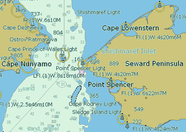 Figure 1:  Sample eChart. (Ship Technology Global, 2014)