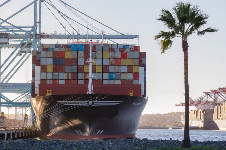 File photo: MSC Aries shown docked in the Port of Los Angeles in December 2021 (© angeldibilio / Adobe Stock)