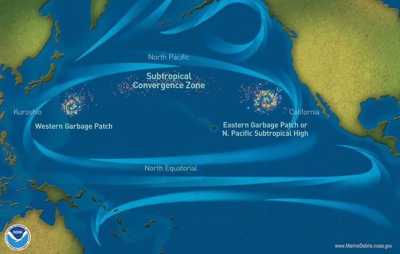 Garbage patches  in the Pacific Ocean.  (Image: NOAA)