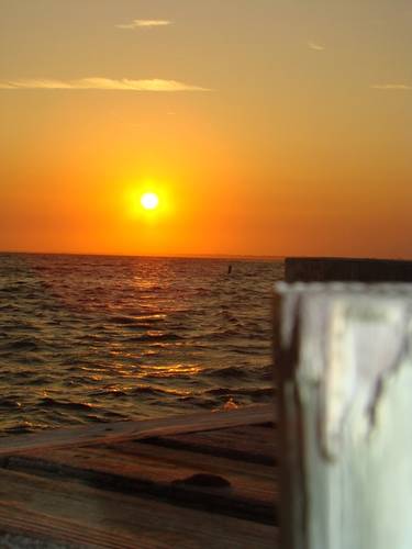 The Great South Bay. Photo: G. Trauthwein