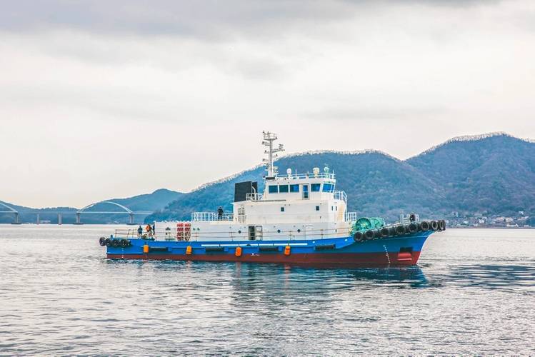 Image courtesy TSUNEISHI SHIPBUILDING Co., Ltd.