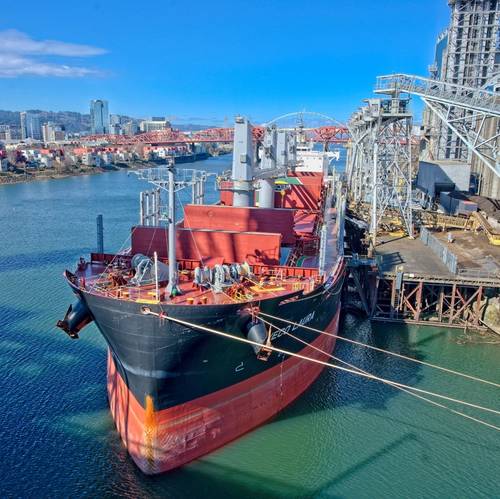 Image credit Anthony Roberts