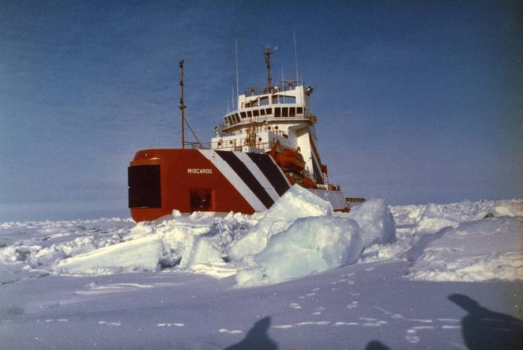 1981:  Photo courtesy Robert Allan Ltd.