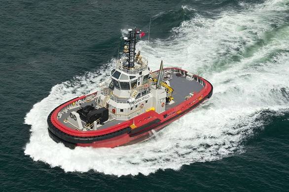 Pilbara Apollo (Photo: Robert Allan)