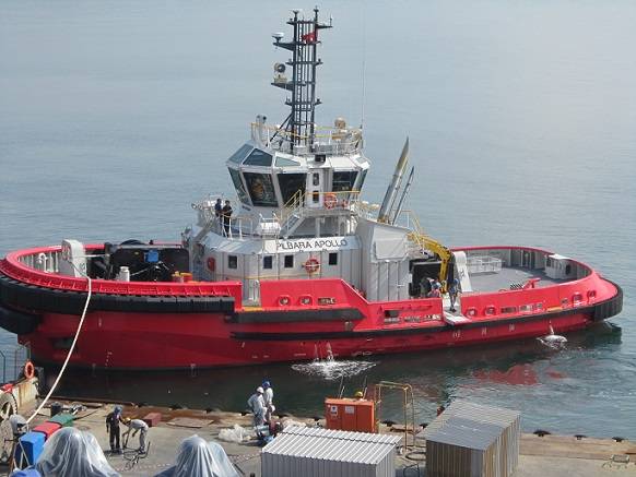 Pilbara Apollo (Photo: Robert Allan)