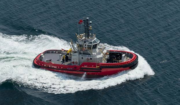 Pilbara Apollo (Photo: Robert Allan)
