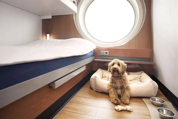 Plenty of room for 'Fido": A dog-friendly cabin. Image courtesy Stena Line