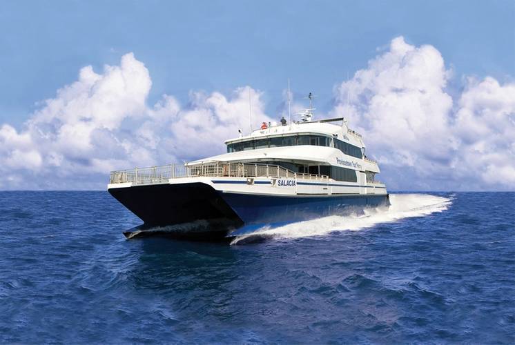 Salacia (Photo courtesy of BHC)
