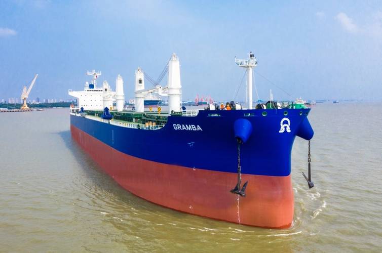 Susesea's bulk carrier MV Bordo Mavi (Credit: Susesea)