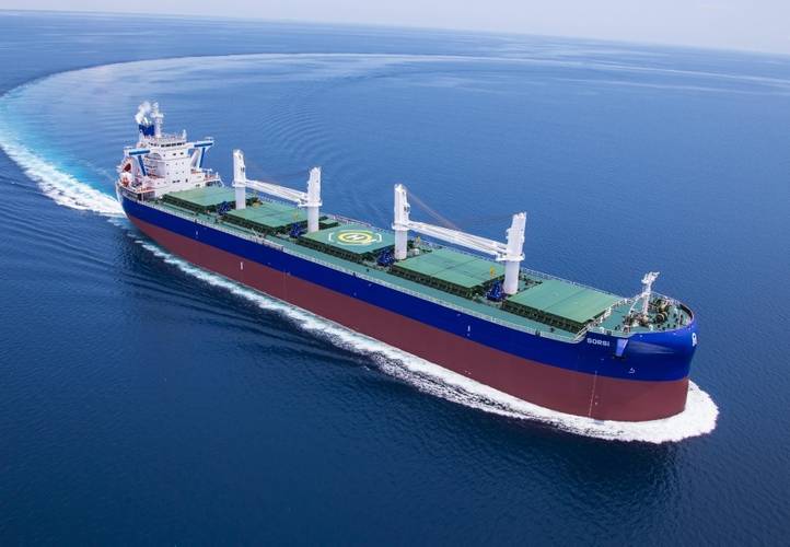Susesea's bulk carrier MV Sorsi (Credit: Susesea)