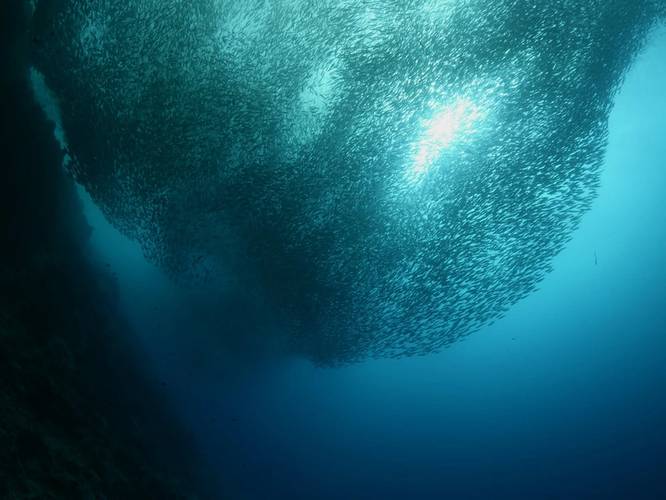 © underocean / Adobe Stock