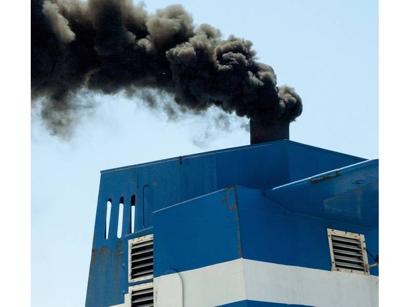 © aniphaes / Adobe Stock