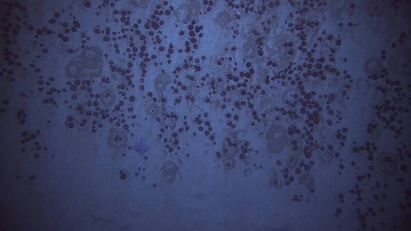 Image courtesy of Investigation of an