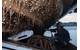 (Biofouling photo - U.S. Navy photo by Mass Communication Specialist Seaman Apprentice Christopher Frost/Released [A sailor scraping barnacles from the bottom of a rigid-hull inflatable boat aboard an aircraft carrier.])
