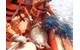 Cidade de Rio das Ostras Rescuers untangling the sea turtle from the net (Photo: Teekay)