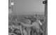 (Credit: Screenshot / Video by Global Sumud Flotilla)
