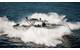 High speed craft with suspension seats. (Image credit: SAFE Boats & SHOXS)