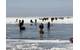 Ice fishermen walk to land after being stuck on an ice floe that broke free from land north of Catawaba Island, March 9, 2019. 46 people were rescued by Coast Guard and local agencies via airboats and approximately 100 people were able to self-rescue by walking across ice-bridges or swimming in the water. (U.S. Coast Guard Photo)