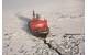 Icebreaker North Pole