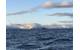 (Image: Al Seer Marine)