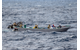 Members of Her Majesty’s Canadian Ship NANAIMO and a United States Coast Guard Law Enforcement Detachment collaborate on the boarding of a suspected smuggling vessel in the Eastern Pacific Ocean during Operation CARIBBE on November 21, 2017. Photo: MARPAC Imaging Services