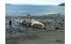 Photo: Global Diving & Salvage