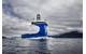 PSV Blue Protector (Photo: Ulstein)