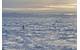 Residents of Utqiagvik return by snowmachine from the lead at the edge of the shore-fast ice. Photo by Andy Mahoney, UAF Geophysical Institute