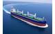 Susesea's bulk carrier MV Sorsi (Credit: Susesea)