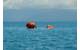 The ShipArrestor buoy marks the tow line