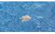 The turtle is freed from the fishing net and swimming away into the waves (Photo: Teekay)