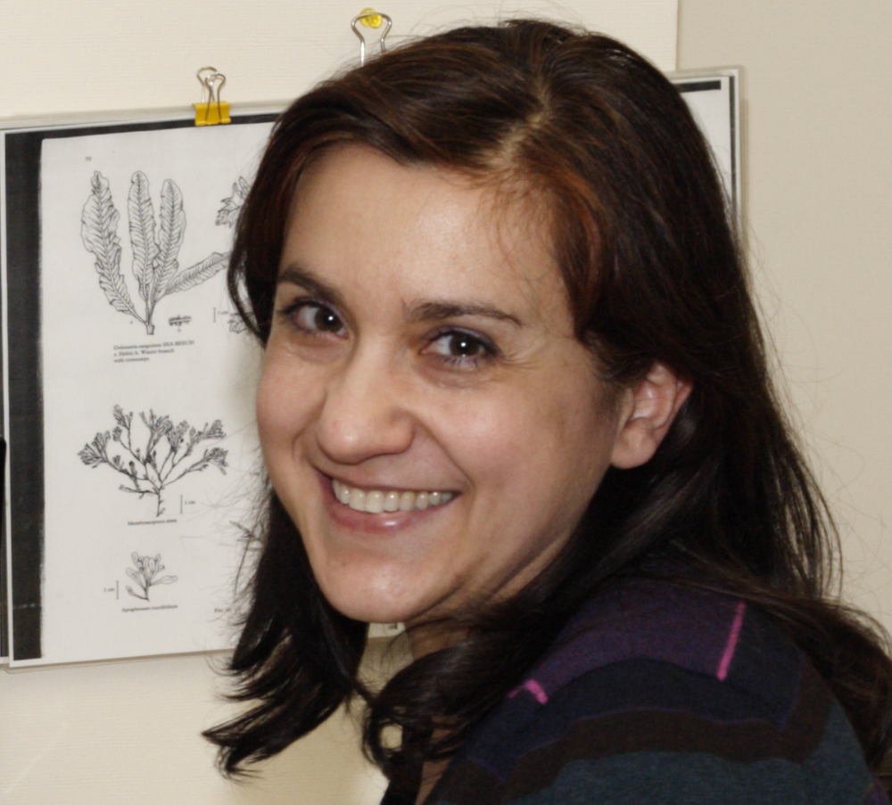 Dr. Stefania De Gregorio