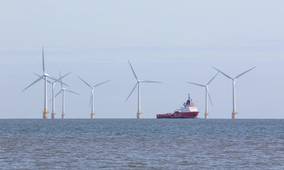 Designing Offshore Fleets that can Adapt, Endure