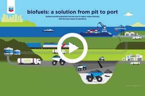 Biofuels: reducing carbon intensity across the supply chain