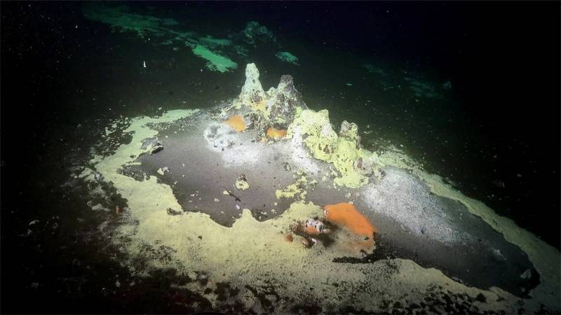 Scientists Find New Hydrothermal Field